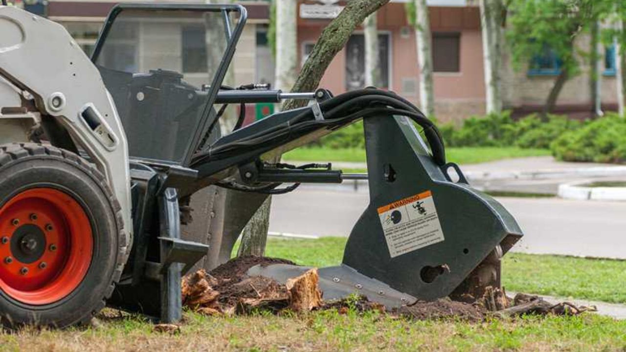 Smart Tips for Buying a Used Stump Grinder Safely